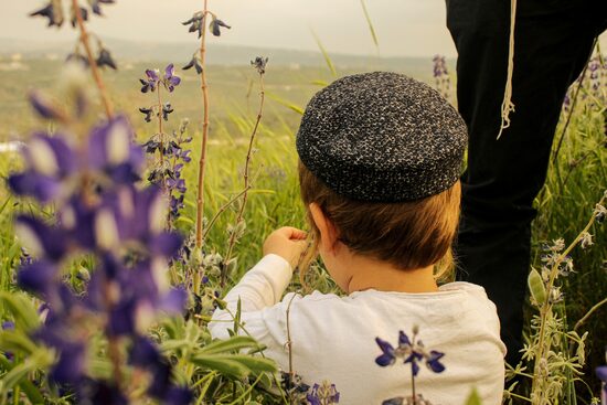 מעוטרות